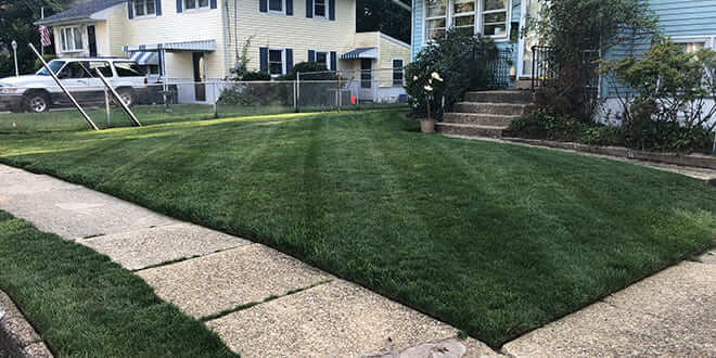 Landscaping Services Sinking Spring