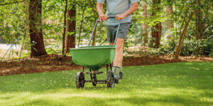 Does Your Lawn Need a Star? The Top 5 Signs It's Time for a Fertilization Program in Wernersville, PA Fertilization Program in Wernersville