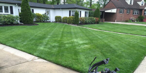 Lawn Care in Shillington, PA: A Five-Step Guide to Reviving Your Grass Lawn Care in Shillington