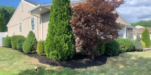 Landscape Maintenance Near Me: Discover the Local Advantage and Transform Your Outdoor Space Today Professional Landscape Maintenance Near Me