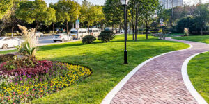 Unlock the Potential of Your Business with Commercial Landscape Maintenance Commercial Landscape Maintenance Services