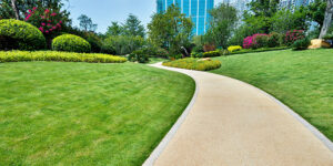 A Guide to Choosing a Commercial Landscaping Company for Your Business Commercial Landscaping Company in Shillington PA