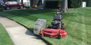 Shocking Myths About Lawn Care Services You Need to Know Lawn Care Services in Shillington PA