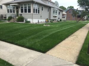 Lawn Mowing 101: Best Schedule for Healthy Grass in 2025 quality lawn maintenance