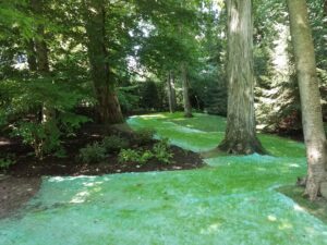 Get Your Lawn Spring-Ready in 5 Easy Steps Quality Landscaping Services in Shillington
