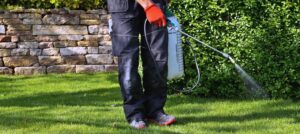 10 Lawn Weed Control Tips That Actually Work lawn weed control Wernersville, PA