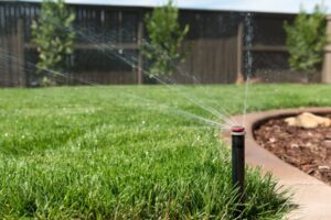 Fix Patchy, Brown Lawns: Spring Services Wernersville Yards Depend On lawn care service in Wernersville, PA