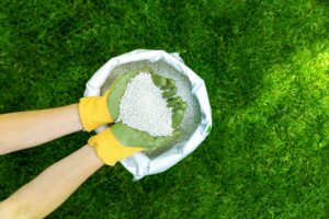 7 Costly Fertilization Mistakes That Damage Pennsylvania Lawns fertilization programs in Wernersville, PA