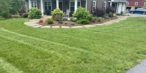 Professional Lawn Fertilization Cost Guide: Berks County Expert Tips lawn fertilization in Wernersville, PA