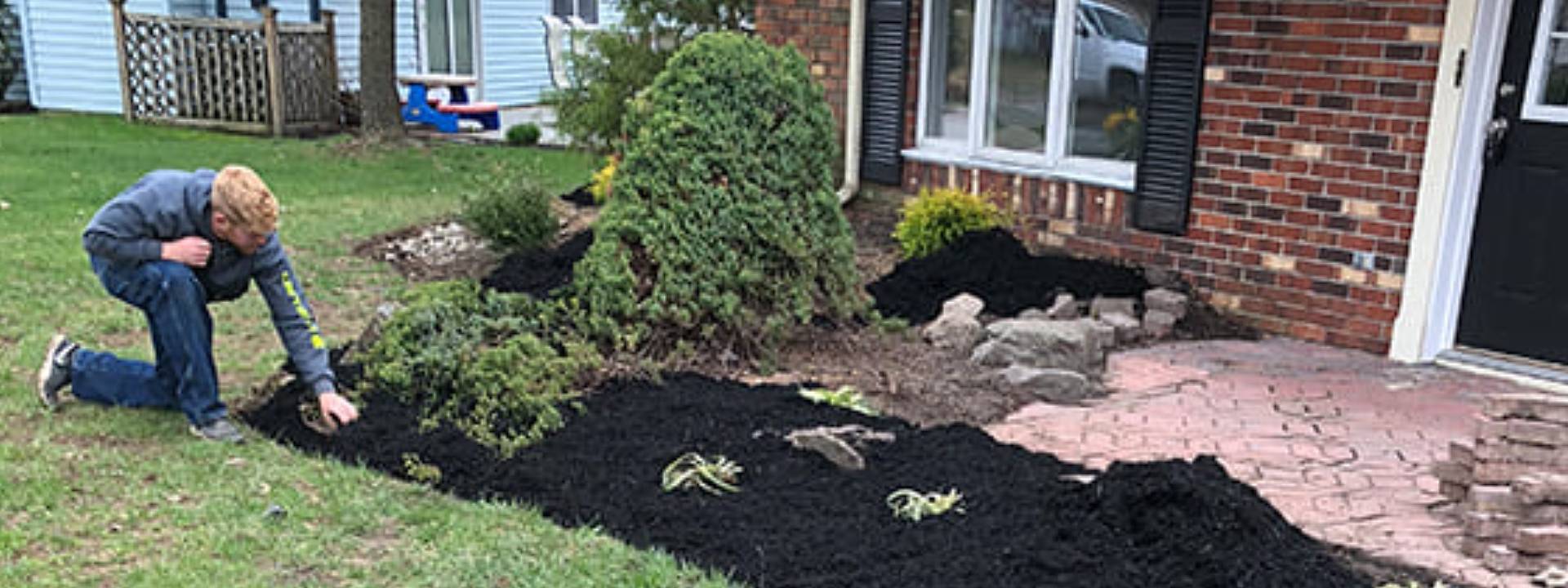 lawn fertilization experts in Wernersville, PA