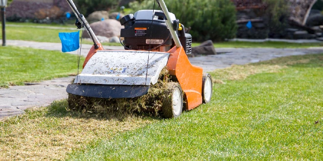 aeration and overseeding strategies for fall