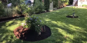 landscaping services in fruitville pa