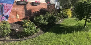 landscaping services in roseville pa