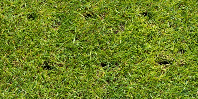 lawn care services for fall
