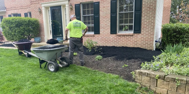 lawn cleanup and leaf removal for a holiday
