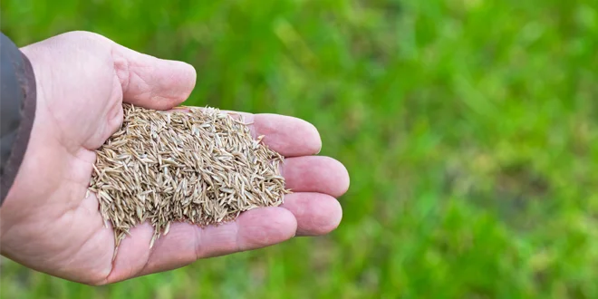 professional fall lawn aeration for pa residents