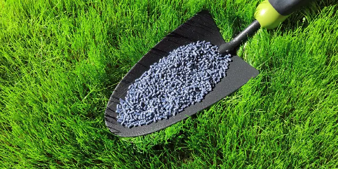 lawn fertilization and winter lawn care treatments