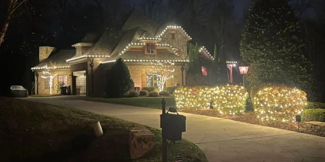 tree trimming for storm safety and holiday lights