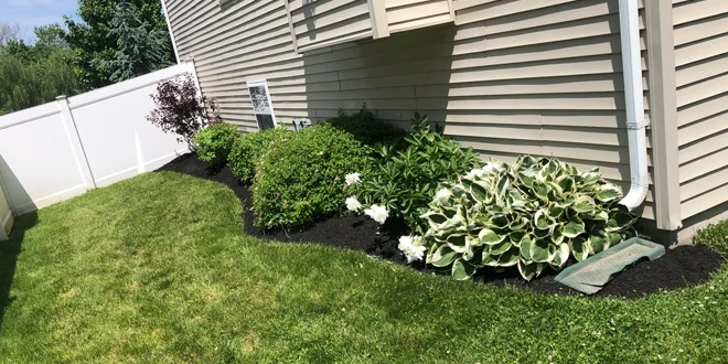 plantings in wernersville pa