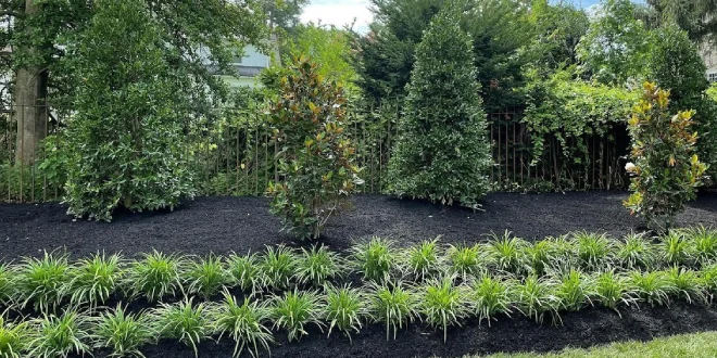 Professional landscape maintenance service in Wernersville, PA