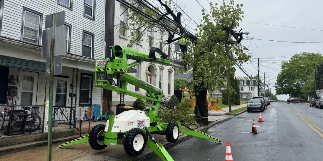 residential tree and shrub maintenance in wernersville pa