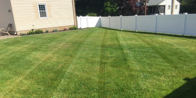 Lawn Care Fertilization Program