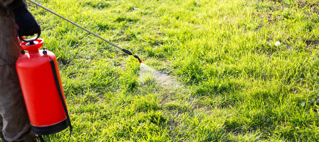 pre-emergent and weed control in pennsylvania
