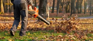 Spring Property Cleanup in Berks County, PA: The Checklist for Getting Your Lawn Ready After Winter spring property cleanup in berks county pa