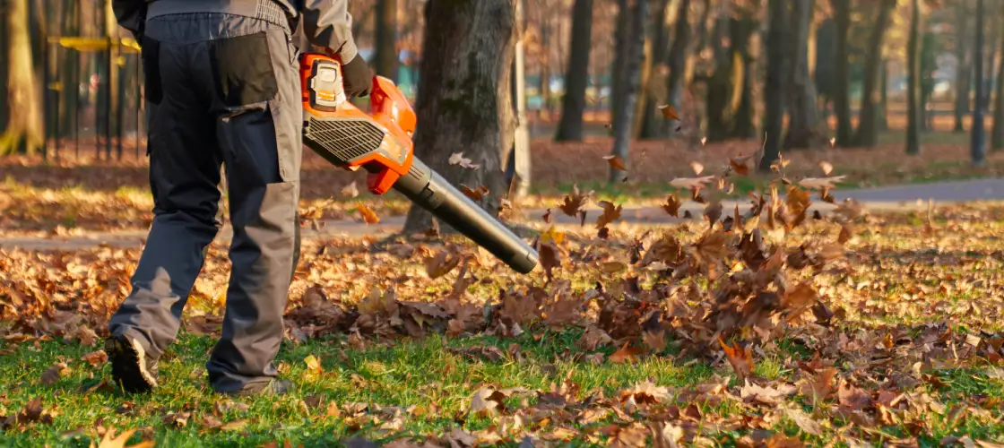 spring property cleanup in berks county pa