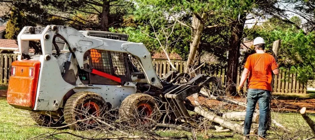 tree removal vs tree trimming in berks county pa