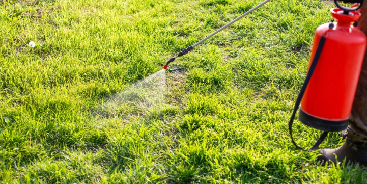 healthy lawn pest control wernersville pa