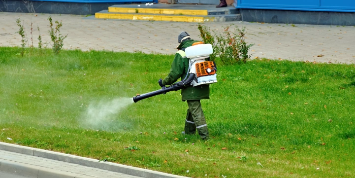 targeted lawn pest treatment wernersville pa